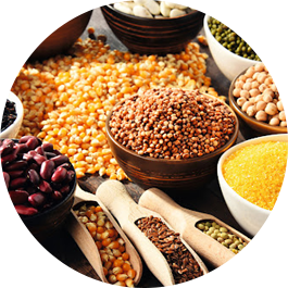 agro-products Roto Shifter Machine