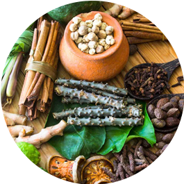 ayurvedik harbal Reactor Ribbon Blender 