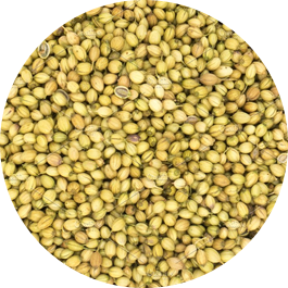 Hammer mill for coriander