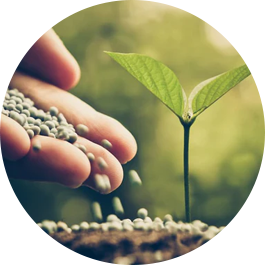 dyestuffs-fertilizer rotary airlock valve