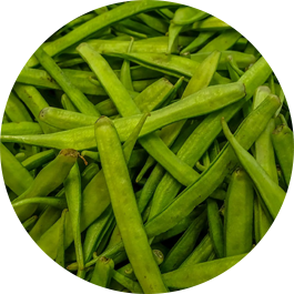 guar-gum Screw Conveyor