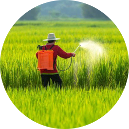 pulverizer for Insecticides